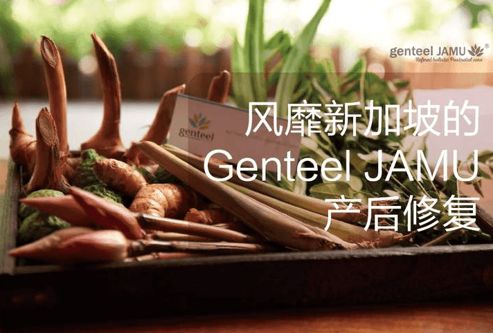 genteel JAMU產(chǎn)后修復(fù)