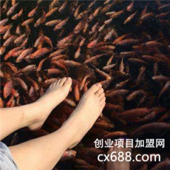 小魚足療