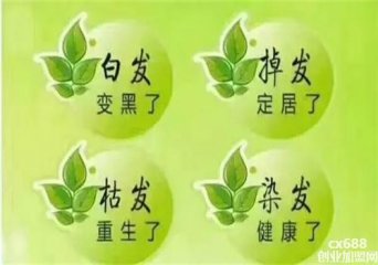 禾草青植物養(yǎng)發(fā)